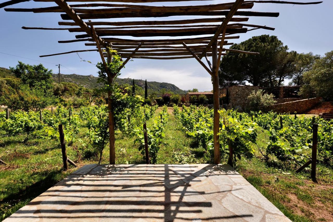 Domaine Pozzo Di Mastri Hotel & Spa Figari  Eksteriør bilde